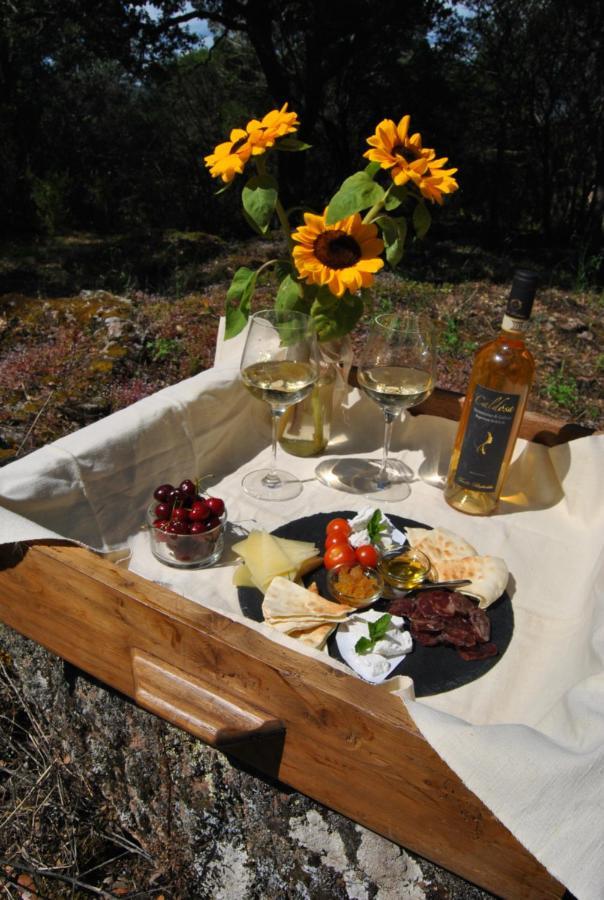 Pasare Glamping_Anglonaruralexperience Hotel Perfugas ภายนอก รูปภาพ