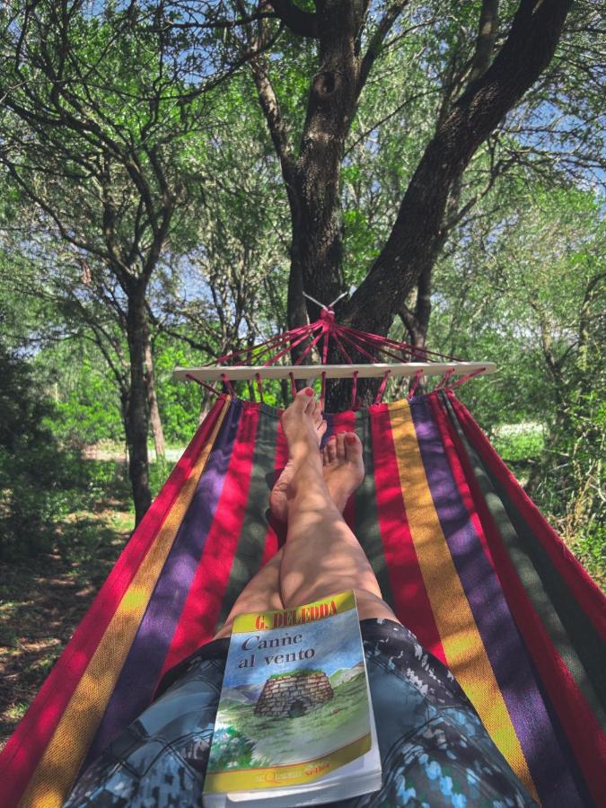 Pasare Glamping_Anglonaruralexperience Hotel Perfugas ภายนอก รูปภาพ