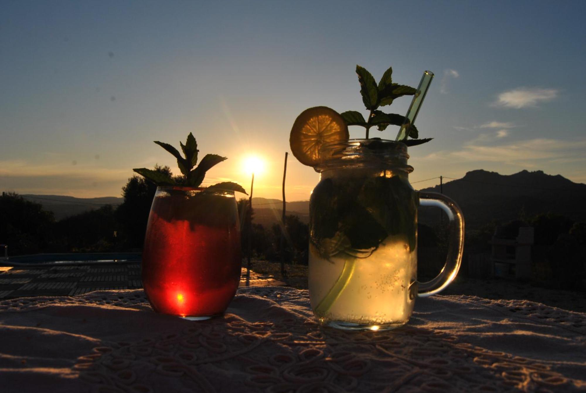 Pasare Glamping_Anglonaruralexperience Hotel Perfugas ภายนอก รูปภาพ